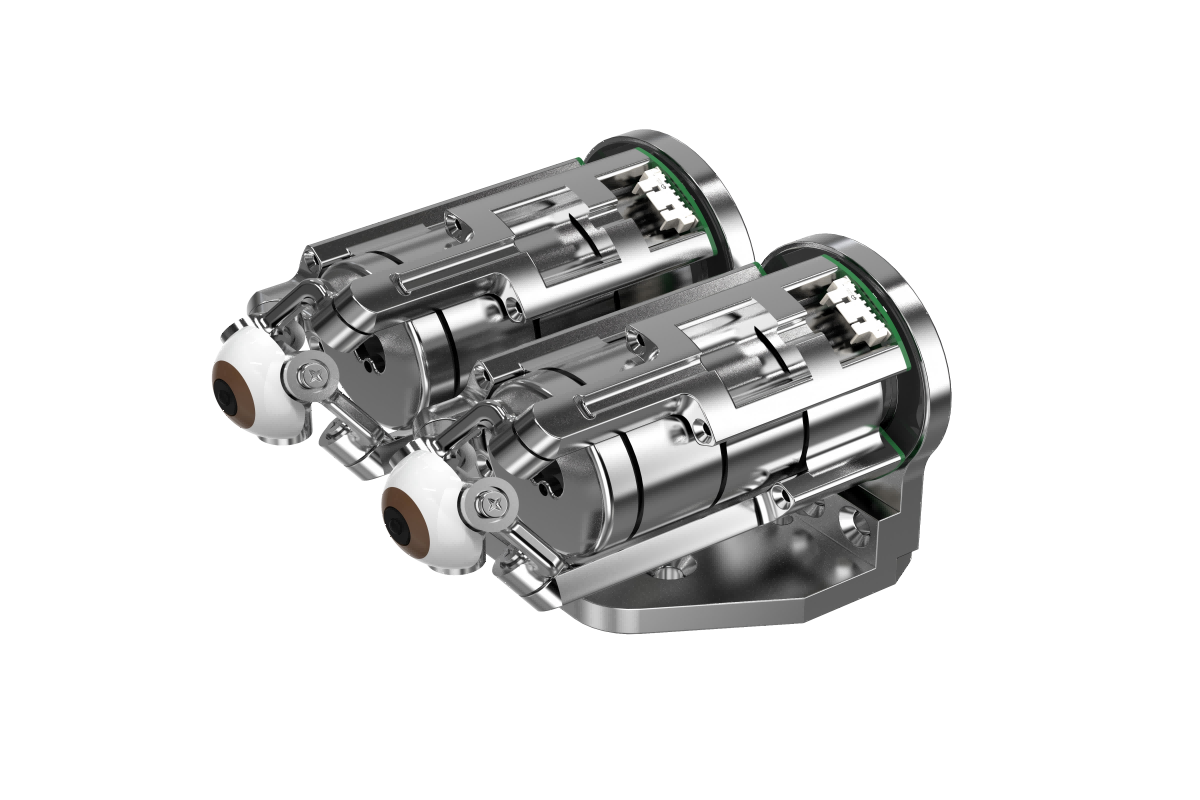 Anhui Eyevolution Technology Co., Ltd.